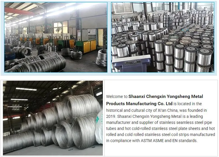 Cold Drawn Steel Welding Wire Round Wire Metal Wire Ss 201 304 304L 316 316L Stainless Steel Wire Supplier